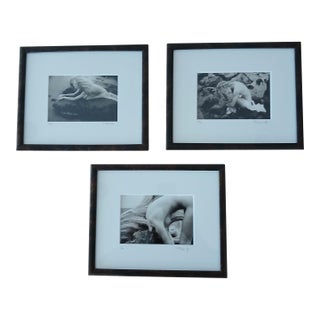Laurie Coppedge Three Artful Nudes Renowned Photographer Signed and Numbered - Set of 3 For Sale