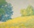 American California Golden Poppies and Blue Oaks - Rural Landscape in Watercolor on Paper by Marie English Williams For Sale - Image 3 of 10