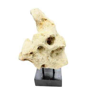 Tribal Indonesian Coral Stone On Teak Stand For Sale - Image 3 of 5