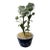 Vintage Chinoiserie Tôle Peinte Floral Topiary in Chonqing-Style Ceramic Pot For Sale