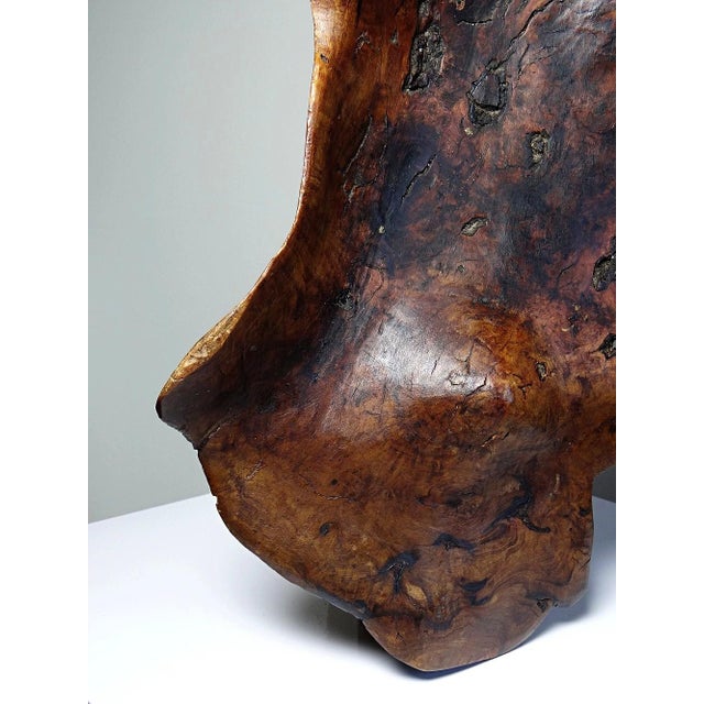 Large Bowl in Dark Raw Wood, 1950s For Sale - Image 11 of 17