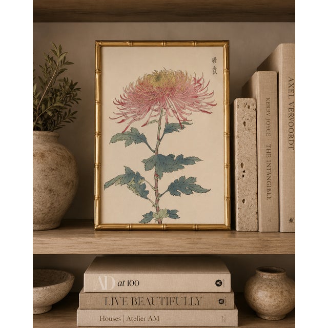 Paper Japanese Spider Mum by Hasegawa, Vintage Botanical Art Print, 8" X 12" For Sale - Image 7 of 8