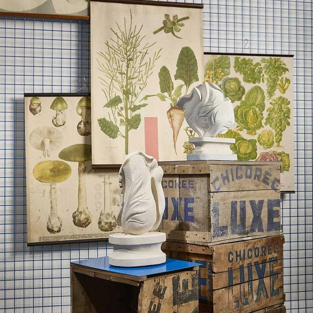 Marcia Bennett-Male, Chalk Pit Cauliflower, Stone For Sale - Image 11 of 14