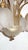 2000 - 2009 Antique Gilded Metal and Glass Chandelier from Unbekannt, 2000s For Sale - Image 5 of 10