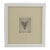 Framed Megladon Tooth For Sale
