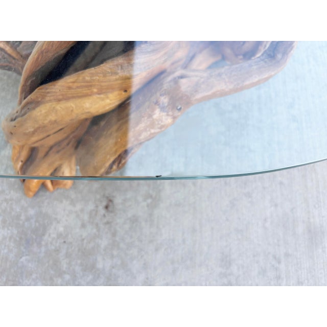 1960s Mid-Century Modern Driftwood Coffee Table With Freeform Glass Top For Sale - Image 13 of 15