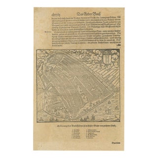 Antique Woodcut Haarlem Map by Sebastian Münster, 1575 For Sale