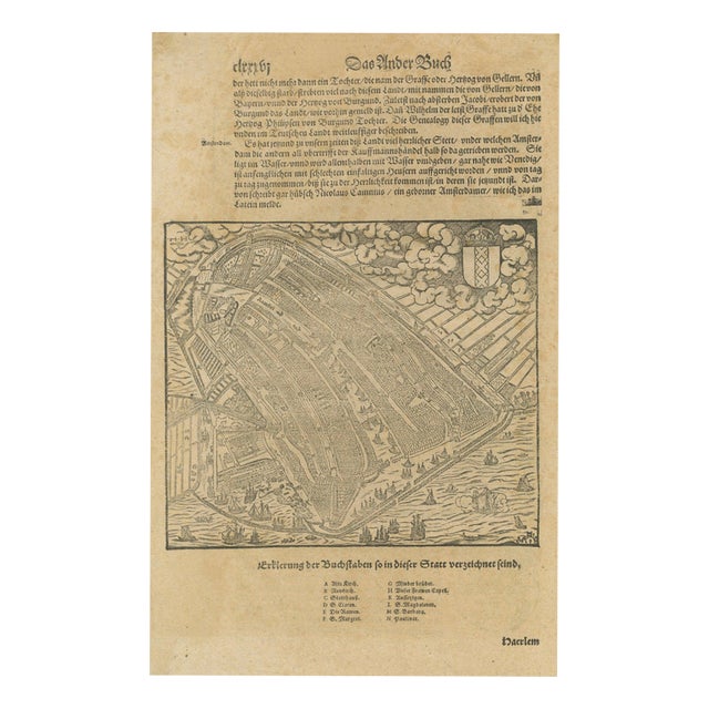 Antique Woodcut Haarlem Map by Sebastian Münster, 1575 For Sale