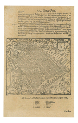 Antique Woodcut Haarlem Map by Sebastian Münster, 1575