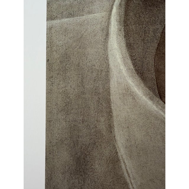 Domenico Gnoli (1933-1970), Girocollo 15 1/2, 1966, Copyright Marzia Gnoli, 1994... Printed in the Netherlands., Large Format For Sale - Image 10 of 12