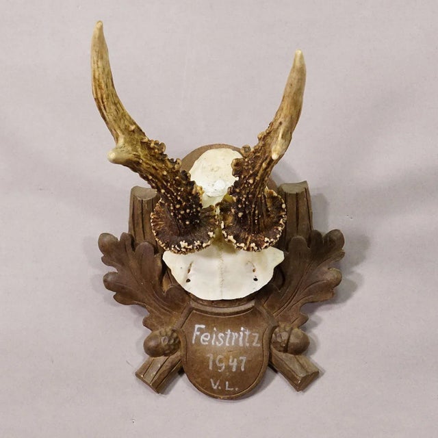 Mid 20th Century Black Forest Vintage Deer Trophy on Carved Plaque 1947 For Sale - Image 5 of 6