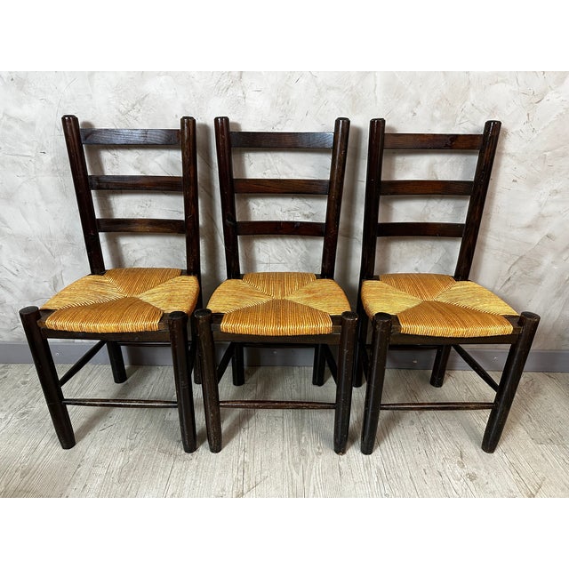Brown Vintage Chairs in Solid Wood, 1960, Set of 6 For Sale - Image 8 of 15
