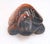 Gemstone Vintage Hand-Carved Tigers Eye Miniature Turtle - Symbol of Tranquility and Steadfastness; Said to Teach You to Take Your Time and Enjoy Life For Sale - Image 7 of 18