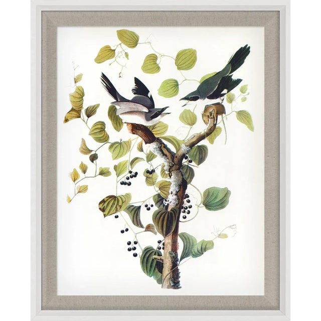 Contemporary Audubon 2, Framed Artwork For Sale - Image 3 of 3