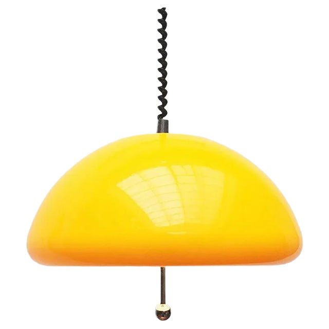 Space Age Cabras Pendant Lamp by Luigi Massoni for Guzzini For Sale