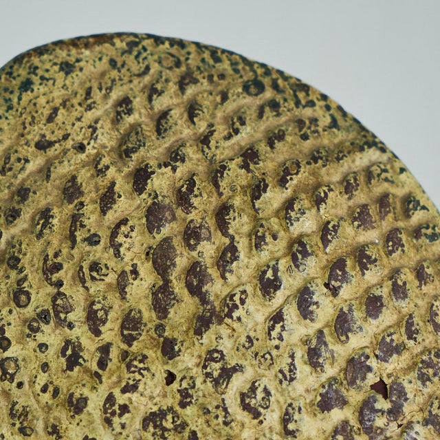 Decorative Fish Sculpture in Wood, 1950s For Sale - Image 4 of 7