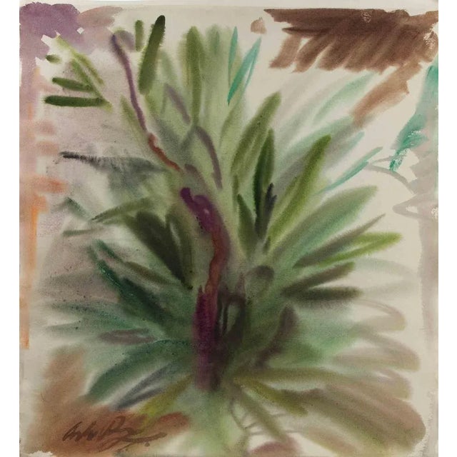 Carlo Ravagnan, Plant, Watercolor, 1960s For Sale - Image 4 of 4