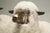 French Old Plank Solid Bronze Sheep For Sale - Image 3 of 8