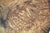 Walnut Signed Table by Jörg Pietschmann For Sale - Image 15 of 17