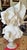 Alabaster Italian Alabaster Marble Bust Figurine For Sale - Image 8 of 8