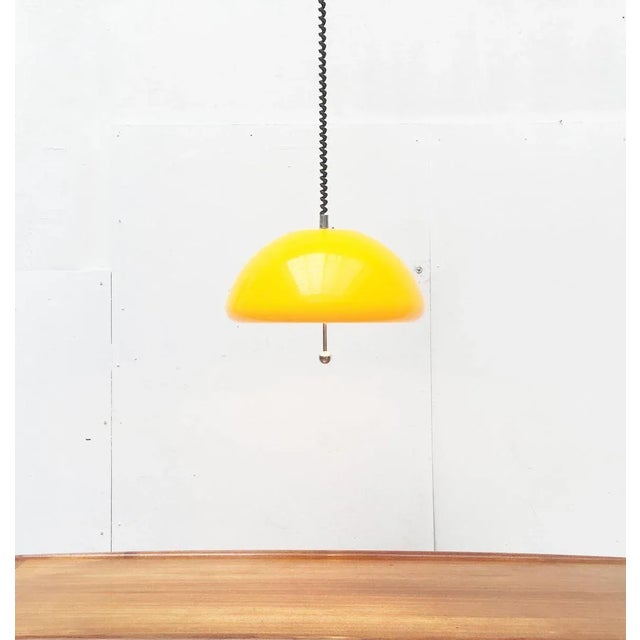 Space Age Cabras Pendant Lamp by Luigi Massoni for Guzzini For Sale - Image 17 of 18