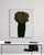 Exclusively available in the U.S. through ART AT HOME, Sarracenia Fiona is a limited edition unframed photograph by...