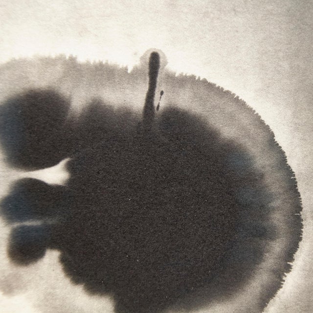 Mouth of Krishna 110 Print by Albarran & Cabrera, 2013 For Sale - Image 6 of 11