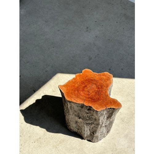 Wood Set of Lychee Stools Forming a Coffee Table For Sale - Image 7 of 18