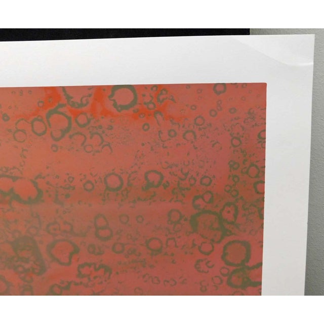 Frank Howell "Summer Guilds the River Rose"Unframed Serigraph Paper Hand Signed For Sale - Image 4 of 9