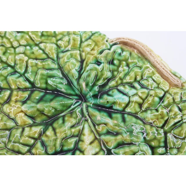 C. 1880-1900 London Majolica Begonia Leaf Plate by Joseph Roth For Sale In Raleigh - Image 6 of 8