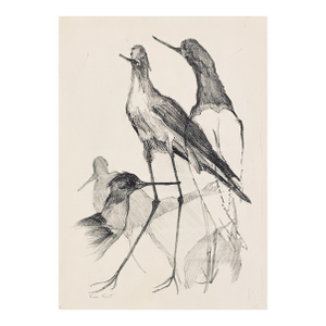1950s Ruth Forrest Bird Lithograph