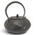 20th Century Oigen Nanbu Seieido Nambu Cast-Iron Pine and Crane Tetsubin For Sale - Image 9 of 16