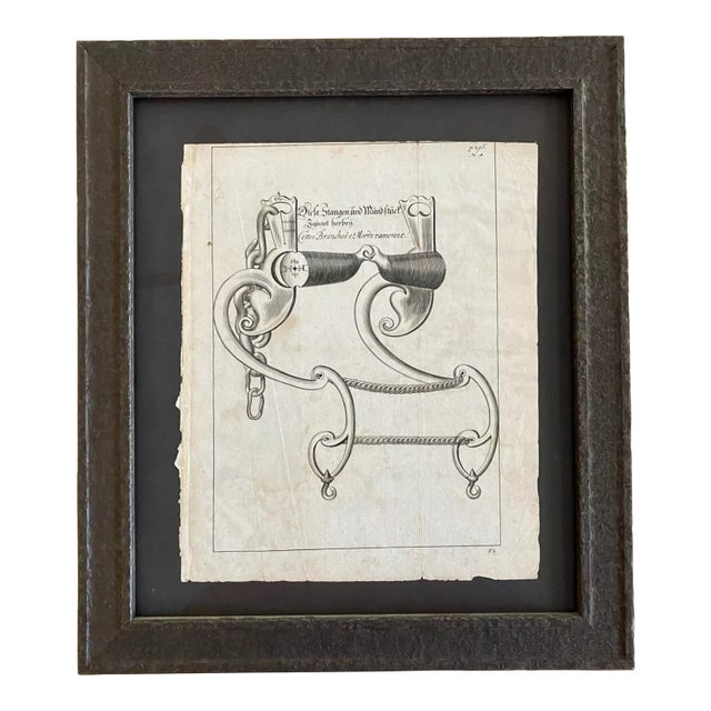 Framed 1700 Equestrian Engraving by William Cavendish After Van Diepenbeeck Euc For Sale
