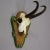 Vintage Black Forest Chamois Trophy on Carved Plaque Ca. 1950 For Sale - Image 4 of 6