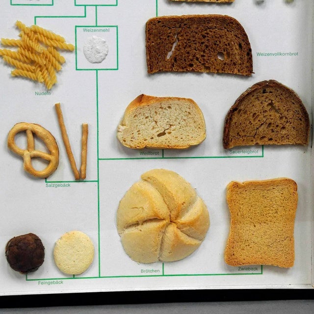 Illustration School Teaching Display Corn and Corn Products For Sale - Image 3 of 6