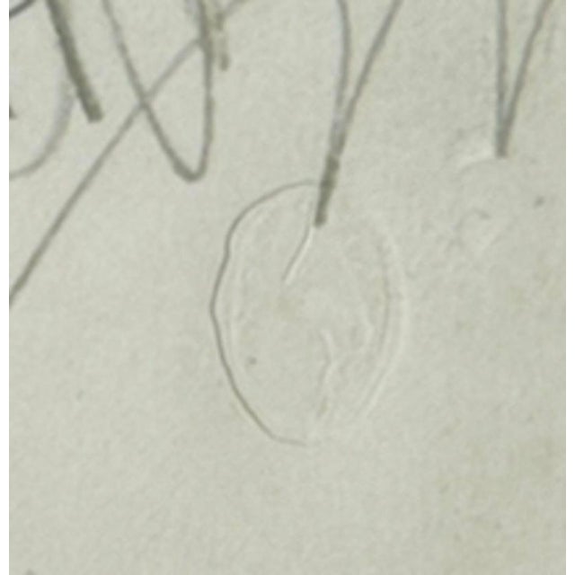 1960s Alberto Giacometti, Head, 1963, Original Lithograph For Sale - Image 5 of 8