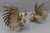 Bronze Sculptures of Fighting Roosters, Japan, 1950s, Set of 2 For Sale - Image 6 of 18