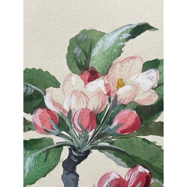 Framed Mid-Century British Bird Watercolour by Charles Frederick Tunnicliffe Obe Ra For Sale - Image 11 of 18