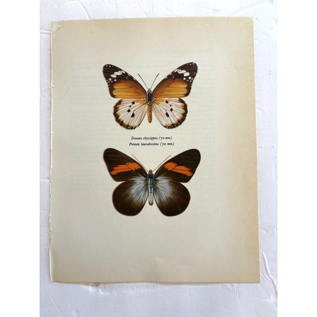 Up for sale is this gorgeous lithograph by F. Prochazka, published in Great Britain in 1965. It is in excellent, gently-...