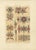 After Racinet, Gothic Illumination-Inspired Ornament Middle Ages Decorative Designs, 1869, Print For Sale