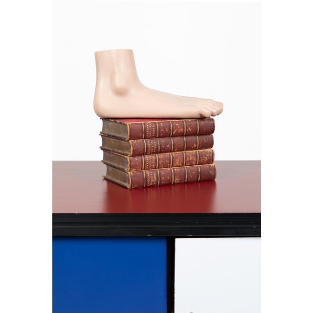 Vintage Anatomical Foot Model For Sale - Image 7 of 8