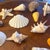 Coastal Curated Coastal Marine Specimen & Sea Shell Collection For Sale - Image 3 of 12