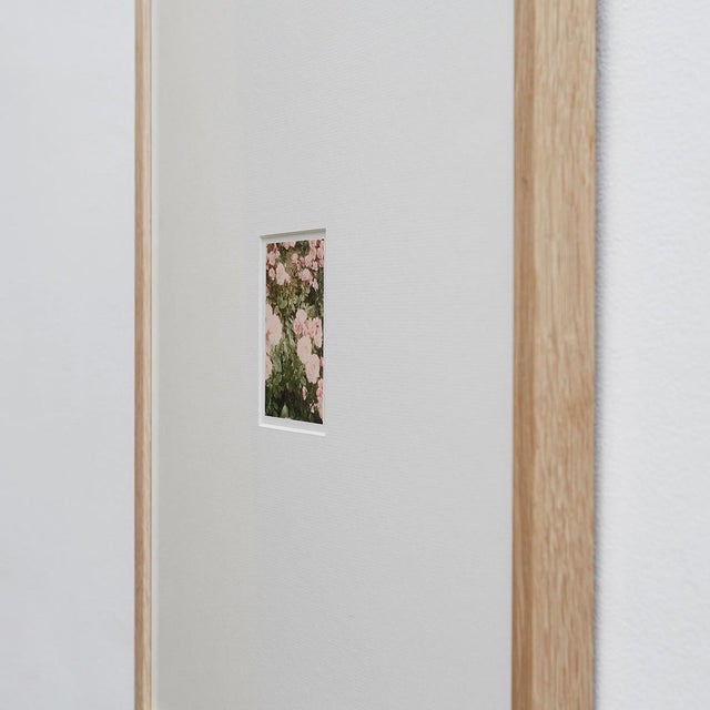 The Rose Garden Prints by David Urbano, 2018, Set of 9 For Sale - Image 8 of 18