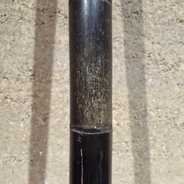 Brass Antique Walking Cane Featuring Shaped Horn Handle Stacked Horn Shaft For Sale - Image 8 of 13