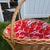 Apple Lined Basket With Handles For Sale - Image 11 of 12