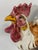 1970s Vintage 1970s Italian Ceramic Majolica Rooster Tureen For Sale - Image 5 of 18