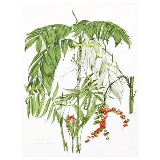 Marion Sheehan Chamaedora Lithograph For Sale