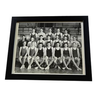 Antique Photograph: University of Minnesota Men's Swimming Team 1941-1942 For Sale