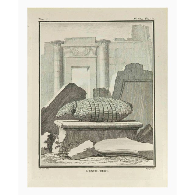 l'encoubert is an etching realized by Jean Charles Baquoy in 1771. It belongs to the suite "Histoire Naturelle de Buffon"....