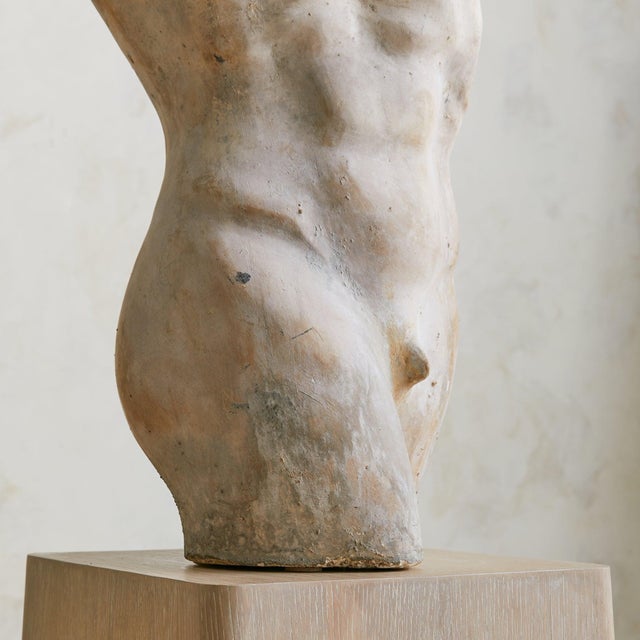 Vintage French Plaster Male Torso Sculpture For Sale - Image 15 of 18